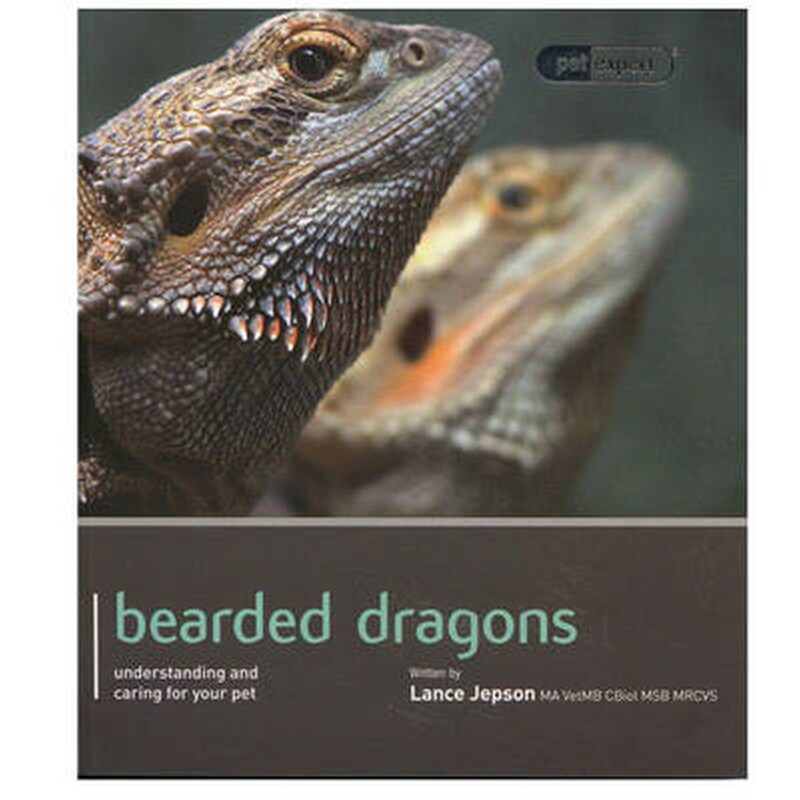 Bearded Dragon - Pet Expert