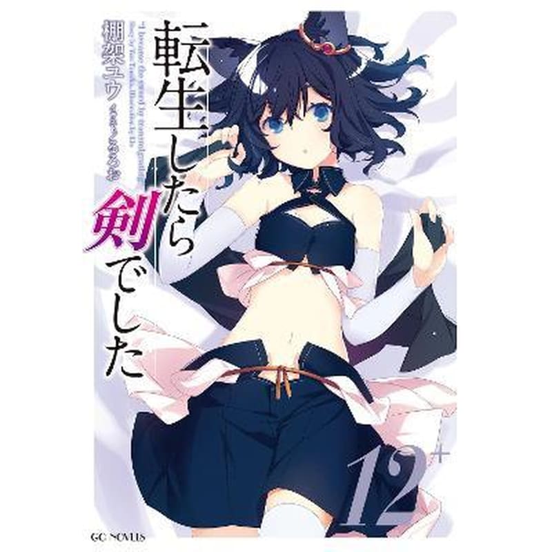 Reincarnated as a Sword (Light Novel) Vol. 12