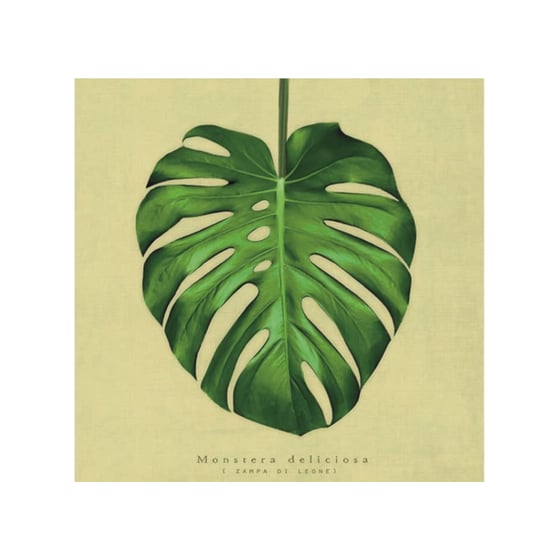 Μοντέρνος Πίνακας Chic Mic Φύλλο 20x20 cm image 0