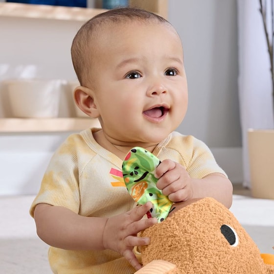 Fisher-Price Μαλακό Καπιμπάρα Εκπαιδευτικό Δραστηριοτήτων (HYR54) image 3
