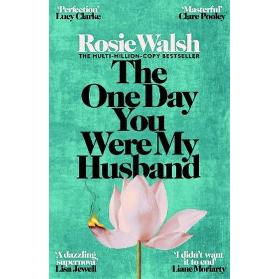The One Day You Were My Husband image 0