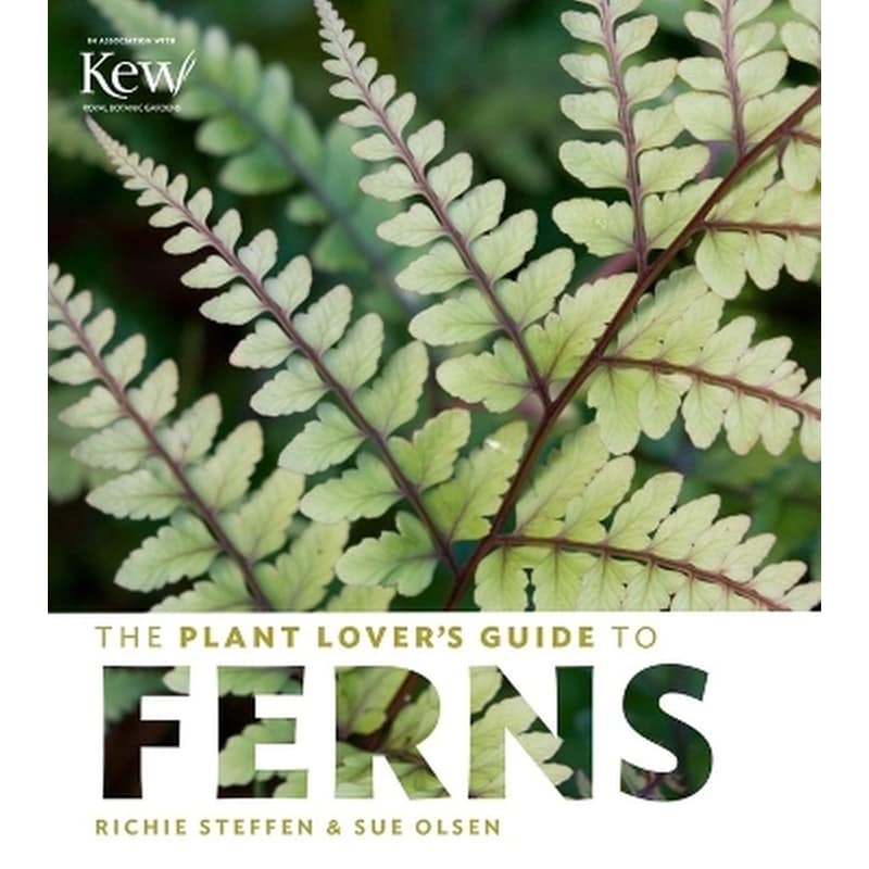 The Plant Lovers Guide to Ferns