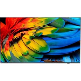 Hotel TV Philips LED 65" 4K Android 65HFL6214U/12