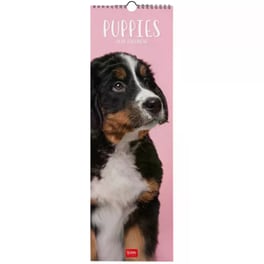 Ημερολόγιο Τοίχου Legami 2026 Puppies 16x49cm