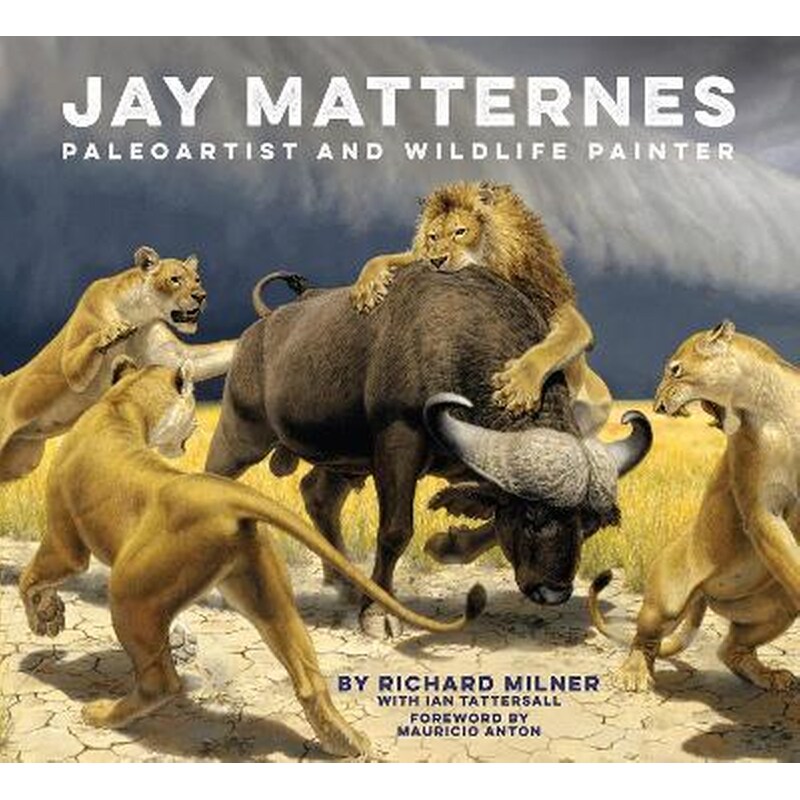 Jay Matternes