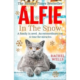Alfie in the Snow