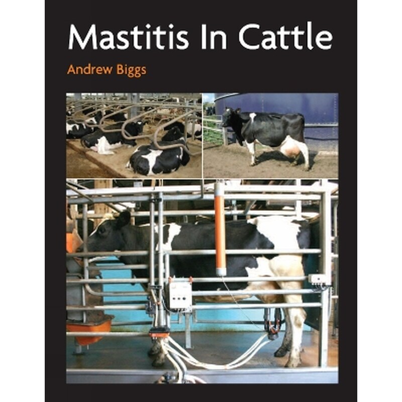 Mastitis In Cattle