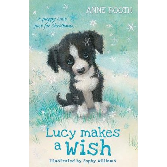 Lucy Makes a Wish image 0