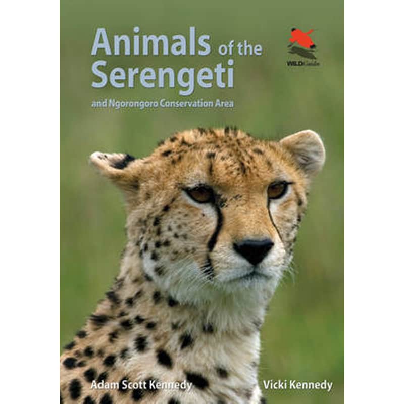Animals of the Serengeti
