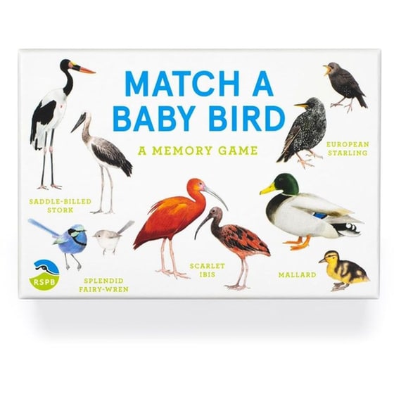 Match a Baby Bird image 1