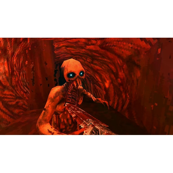 Wrath: Aeon of Ruin - Nintendo Switch image 2