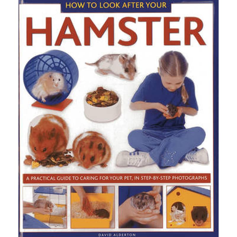 How to Look After Your Hamster