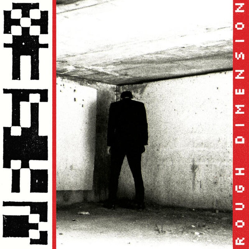 ROUGH DIMENSION (RED LP)