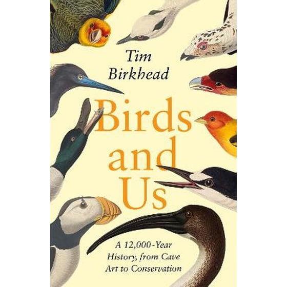Birds and Us image 0