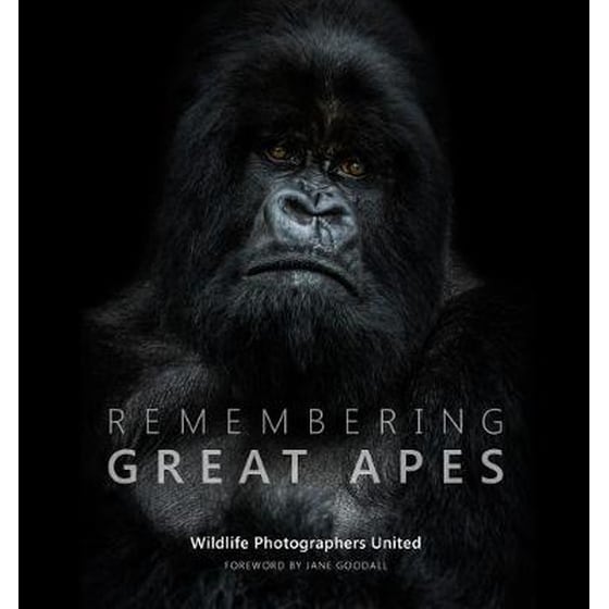 Remembering Great Apes image 0