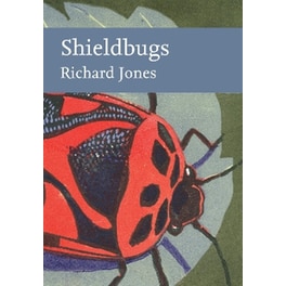 Shieldbugs