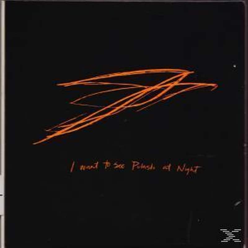 I Want To See Pulaski At Night