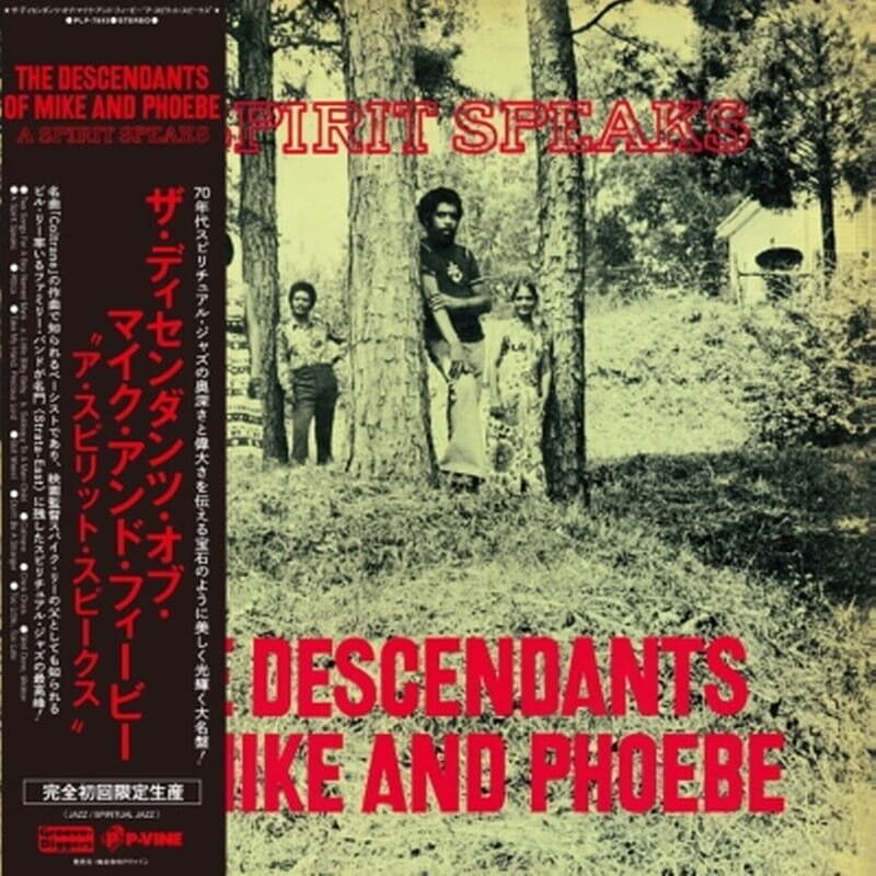 A Spirit Speaks (LP)
