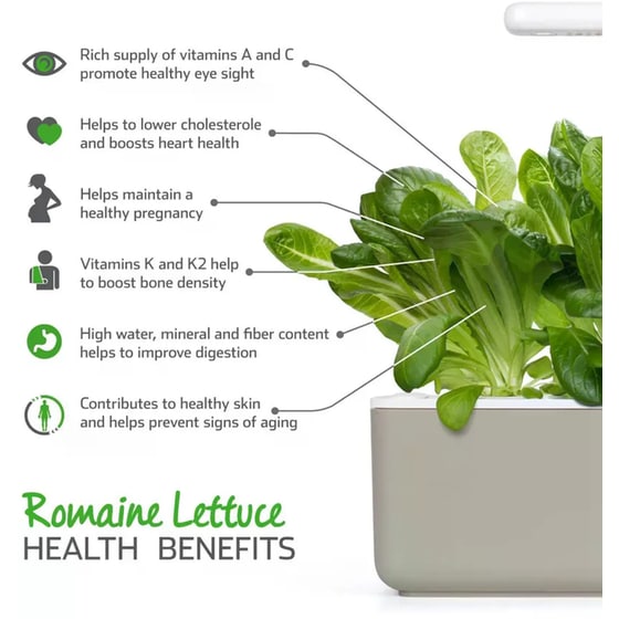 Κάψουλες Click and Grow 3 Τμχ - Μαρούλι Romaine image 4