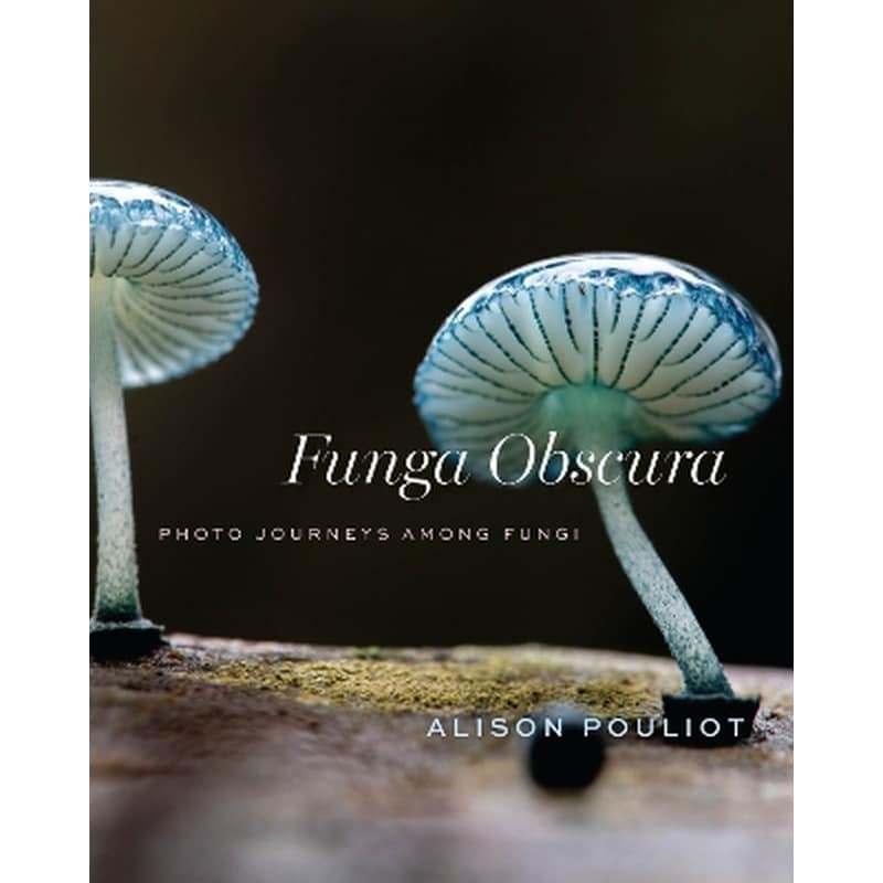 Funga Obscura