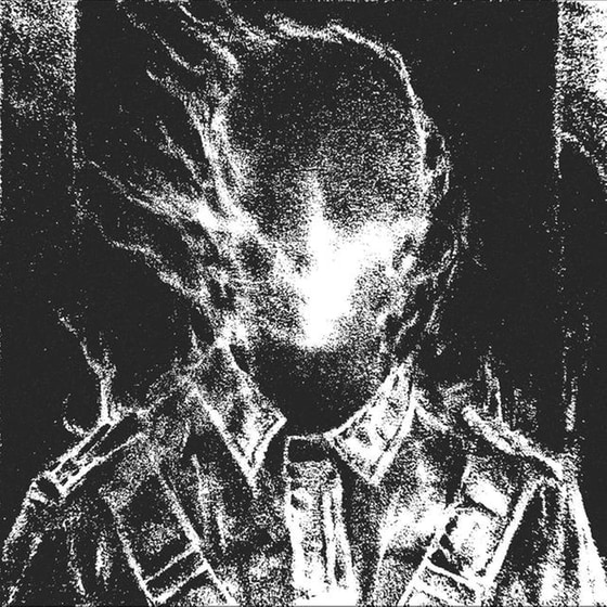 ECHO IN THE MEMORY (PINK LP) image 1