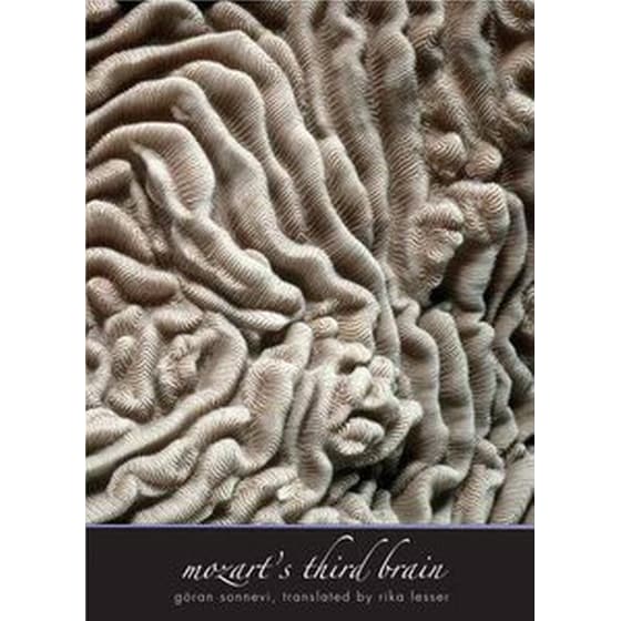 Mozart's Third Brain image 0