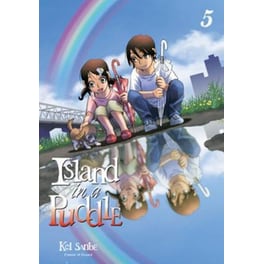 Island in a Puddle 5