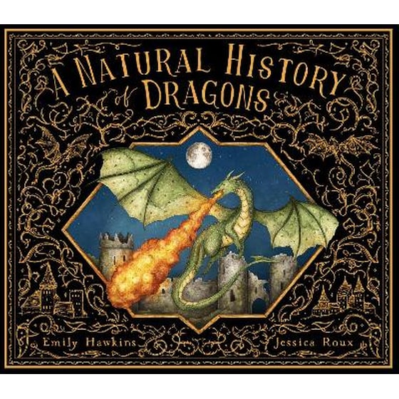 A Natural History of Dragons image 0