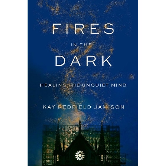 Fires in the Dark image 0