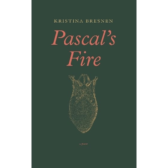 Pascal's Fire image 0
