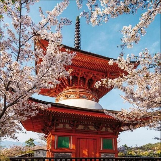 Ημερολόγιο Τοίχου 2025 Wunder der Welt image 4