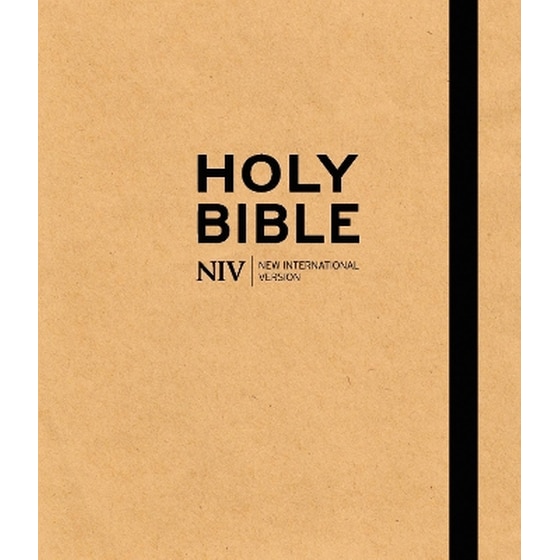 NIV Art Bible image 0