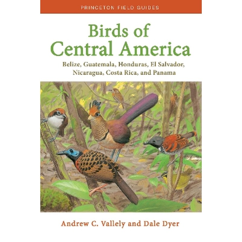 Birds of Central America