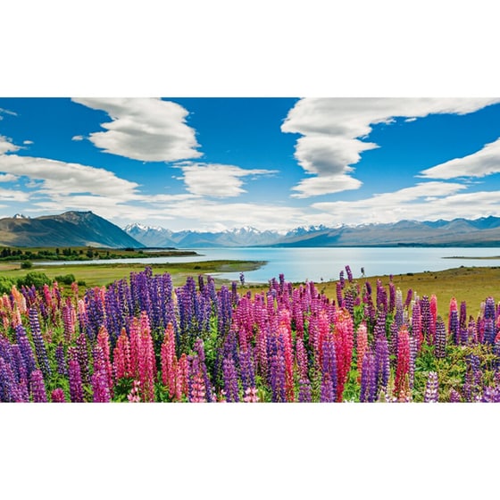 Lake Tekapo 1000pcs (29902) Heye image 0