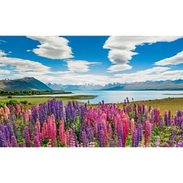Lake Tekapo 1000pcs (29902) Heye