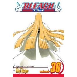 Bleach, Vol. 36