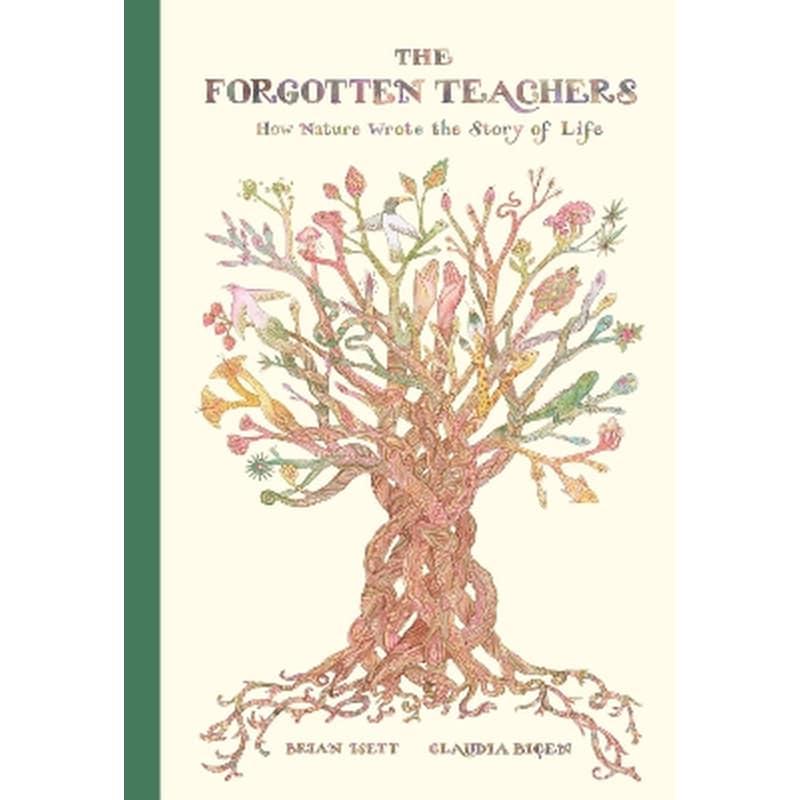 The Forgotten Teachers