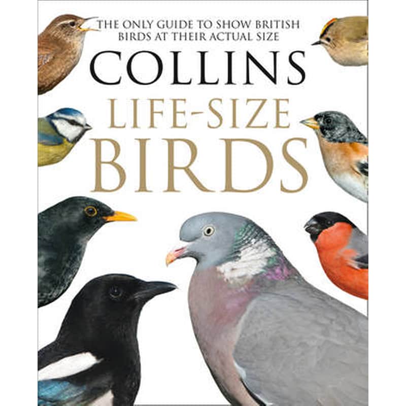 Collins Life-Size Birds