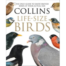 Collins Life-Size Birds