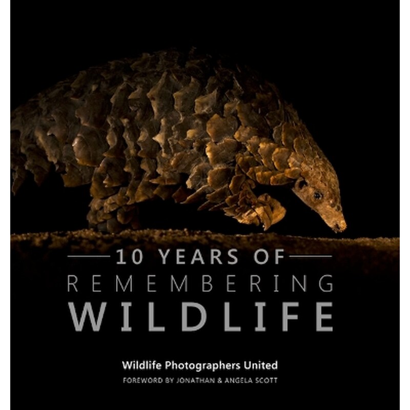 Ten Years of Remembering Wildlife