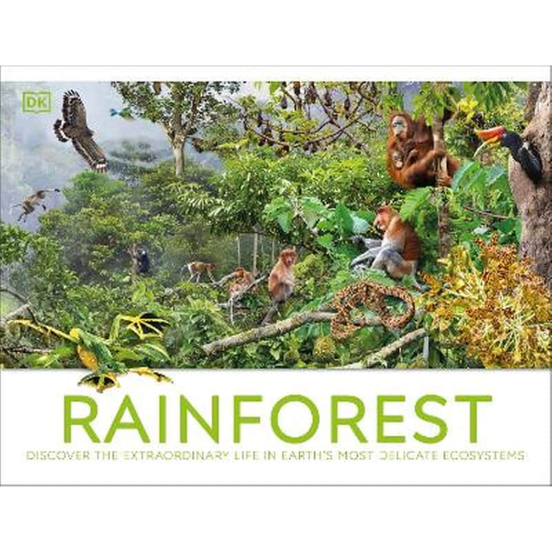 Rainforest