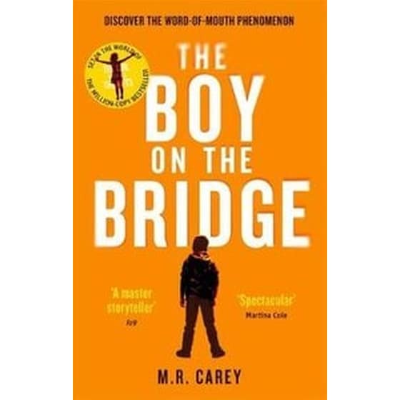 The Boy on the Bridge image 0