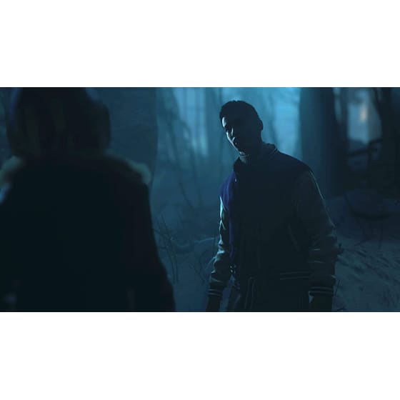 Until Dawn PlayStation Hits - PS4 image 7