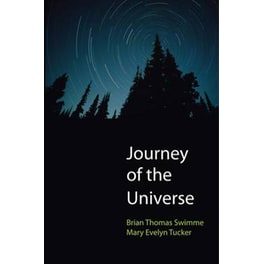 Journey of the Universe