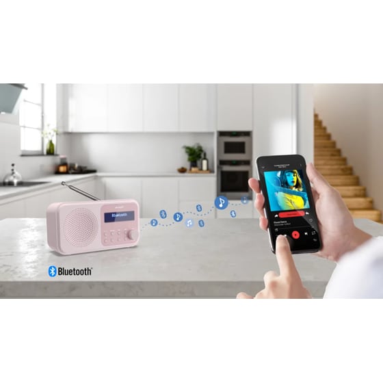 Φορητό ραδιόφωνο Sharp Tokyo DR-P420-Pink image 11