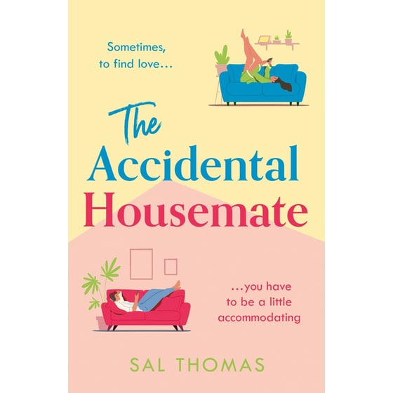 The Accidental Housemate image 0