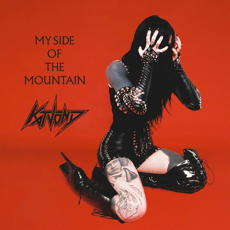 My Side Of The Mountain (LP)