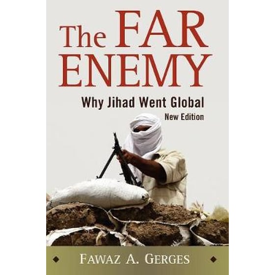 Far Enemy image 0