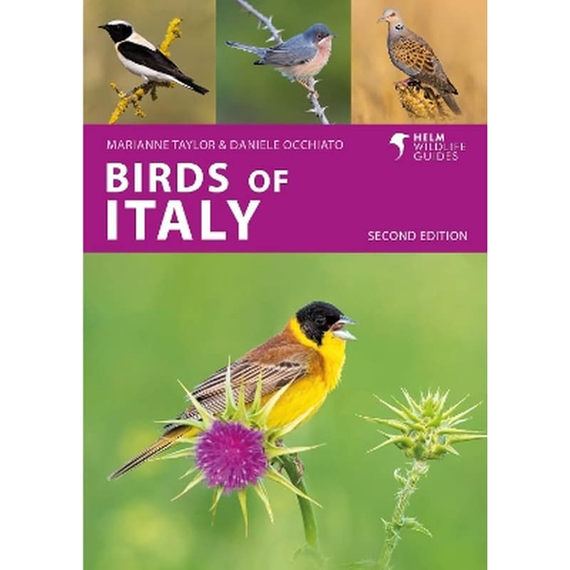 Birds of Italy