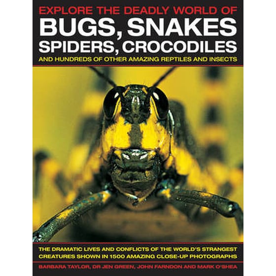 Explore the Deadly World of Bugs, Snakes, Spiders, Crocodiles image 0
